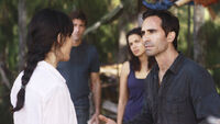 6x10 ConfrontingAlpert.jpg
