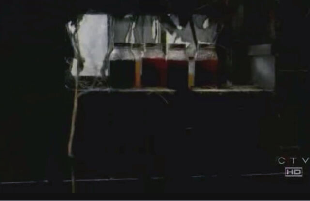 File:Jars2.jpg