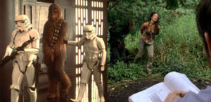 Chewie.jpg