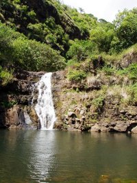 200px-WaimeaValleyAudubonCenter.jpg