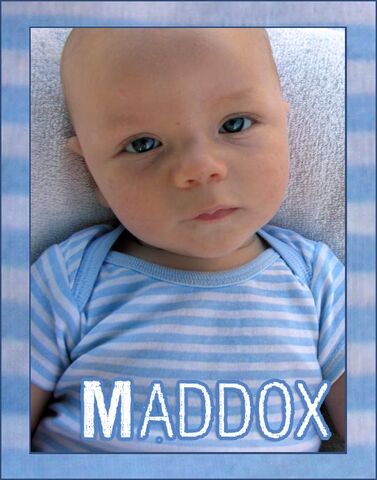 File:Maddox5.jpg