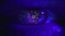 Ficheiro:2x17Eye.jpg