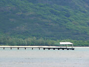 Pala Ferry