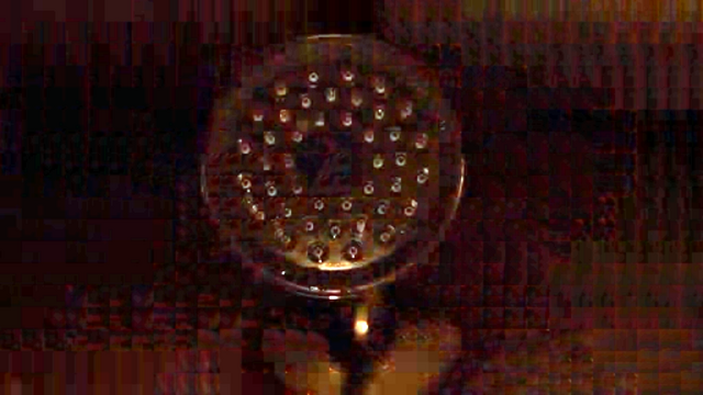 File:2x01 JivamalaShowerHead.png