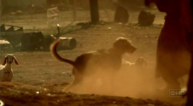 File:3x05-lulu-bender.jpg
