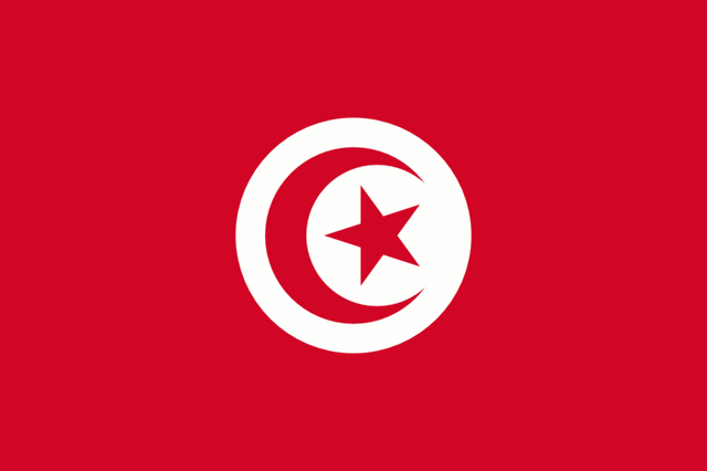 ملف:TUNF.png