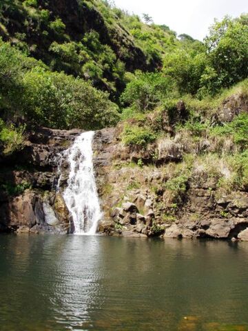 File:Waimea Valley Audubon Center.jpg