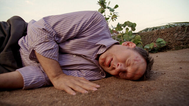 File:Fallen.jpg