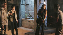 6x06-Ilanas-Gruppe.jpg