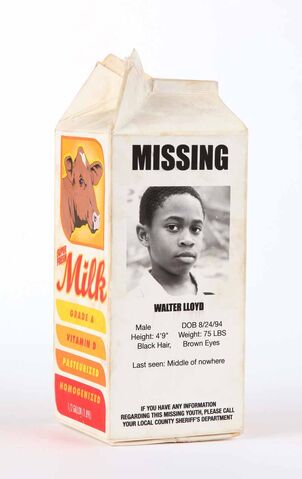 File:Milk carton.jpg