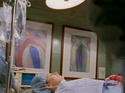 3x16-painting-staff2.jpg