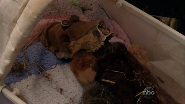 File:6x05 cradle skull.png