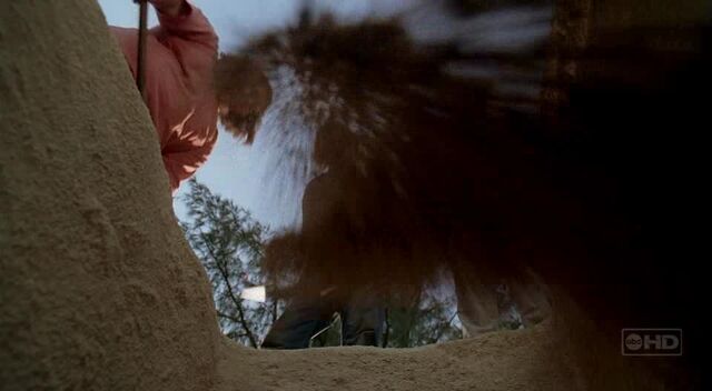 Archivo:Buriedalive.jpg