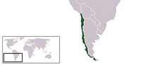 Location Chile.png