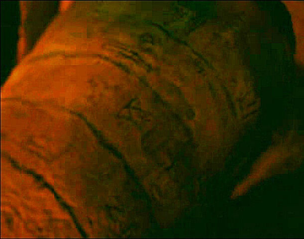 File:6x17PlugCuneiform.jpg