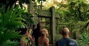 5x05-Orchidee.jpg