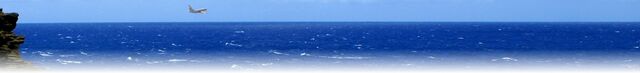 Archivo:Wiki-background.jpg