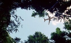6x18-AjiraFliegt.jpg