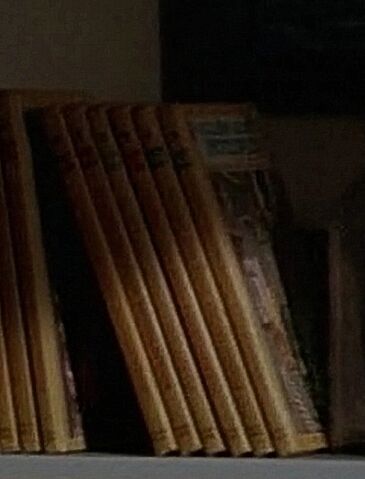 File:320booksinbensroom.jpg