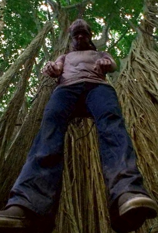 File:HUNFG.png