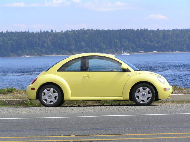 File:BCbeetle.jpg