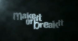 File:MakeItOrBreakIt.png
