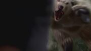 Badbear.jpg