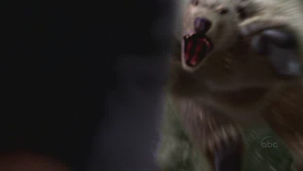 Ficheiro:Badbear.jpg