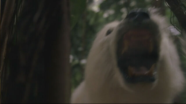 File:1x14-AnimalsAttack.jpg