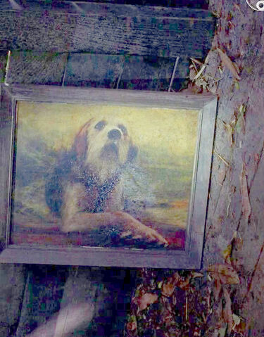 File:Dog pic in cabin copy.jpg