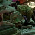 Snowglobe