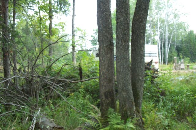 File:2009 014.jpg