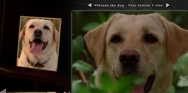Archivo:Ch4-Season1Clue.jpg