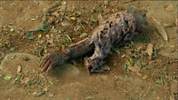 5x05 HisOldArm.jpg