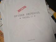 Spider classified.jpg