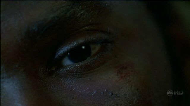 File:4x08Eye.jpg
