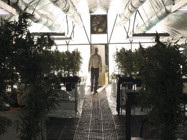 File:Communemarijuana.jpg