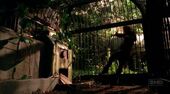 Sawyer's Cage.jpg