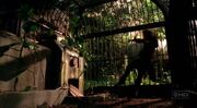 Sawyer's Cage.jpg