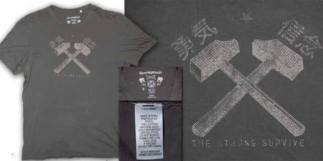 File:Shirt-guess.jpg
