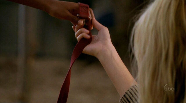 File:1x23 HandingTheDogToShannon.jpg