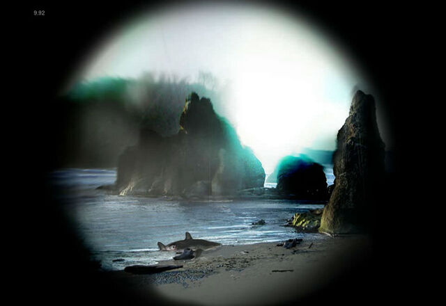 Archivo:800px-Diseasebeach.jpg