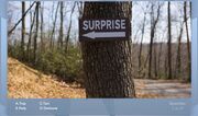 DWY surpriseQ.jpg