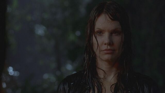 ملف:Harper rain.jpg