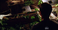 6x05 CoffinAgain.jpg