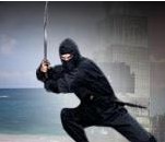 Ficheiro:Lostninja.jpg