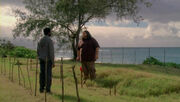 6X12 HurleyMichaelatLibbysGrave.jpg