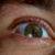 File:Pb-eye.JPG