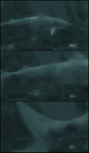 Shark 6x01.jpg