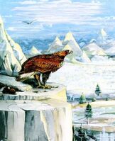 Eagles.jpg